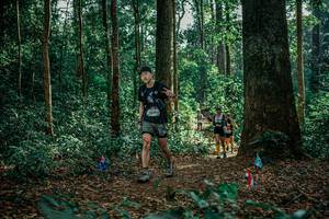 BIB: 
                            <button type="button" onclick="openModal(26131035)" class="btn btn-primary btn-sm float-right btn-popup" data-toggle="modal" data-target=".modal-high-quality">
                        <i class="fas fa-shopping-cart"></i> Add to Cart
                    </button>
                                            <button type="button" onclick="isThisMe(26131035, true)" class="btn btn-success btn-sm float-right btn-popup btn-isme hidden" data-toggle="tooltip" data-placement="bottom" title="นี่คือรูปของคุณใช่ไหม คลิกที่นี่เพื่อเอาเข้าอัลบั้ม">
                        <i class="fas fa-plus"></i> Add to album
                    </button>
                    <button type="button" onclick="isThisMe(26131035, false)" class="btn btn-warning btn-sm float-right btn-popup btn-isnotme hidden">
                        <i class="fas fa-ban"></i> Remove from album
                    </button>